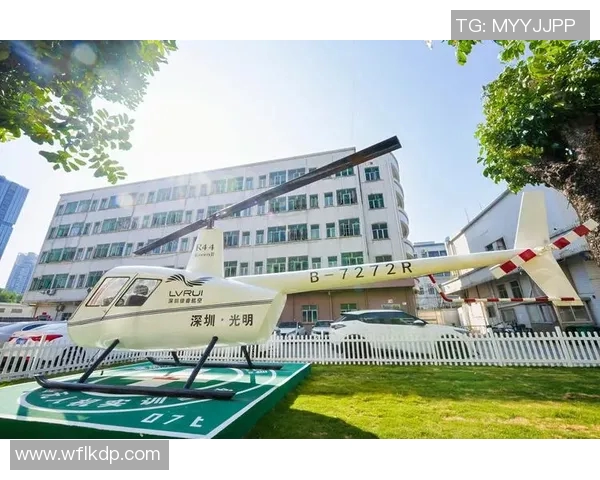 深圳排球队运营分析：成功经验与面临挑战的深度探讨