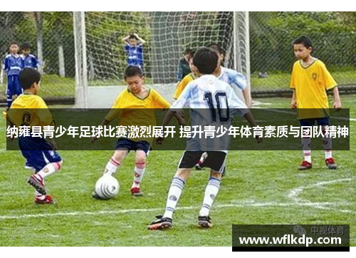 纳雍县青少年足球比赛激烈展开 提升青少年体育素质与团队精神