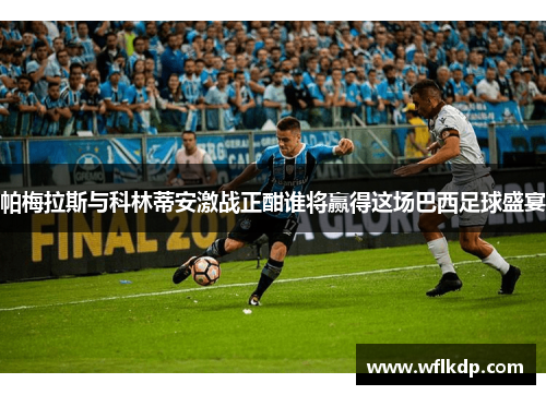 帕梅拉斯与科林蒂安激战正酣谁将赢得这场巴西足球盛宴
